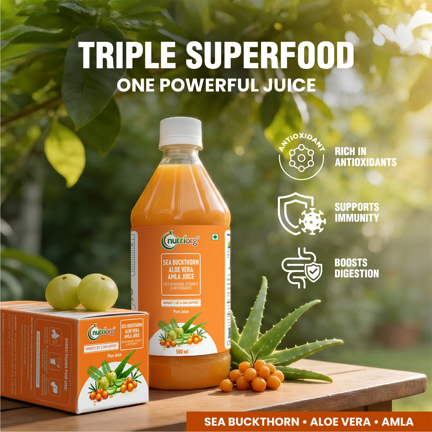 Sea Buckthorn Aloe Vera Amla Juice