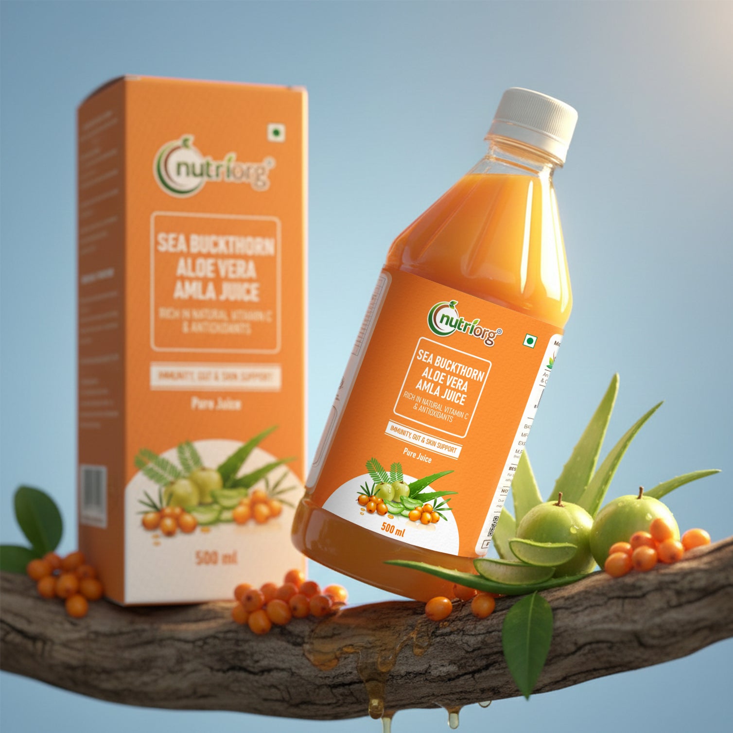 Sea Buckthorn Aloe Vera Amla Juice