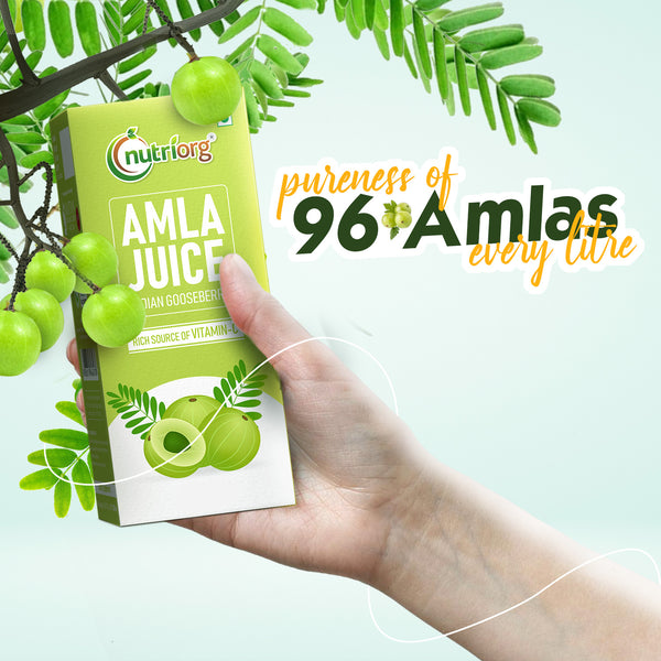 Nutriorg Amla & Aloe Vera Juice - 1000ml (Pack of 2*500ml)