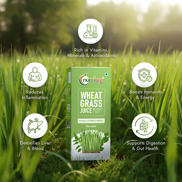 Wheat Grass Juice