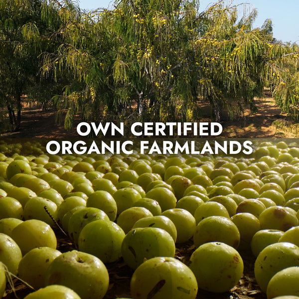 Vitamin C Health Booster Combo