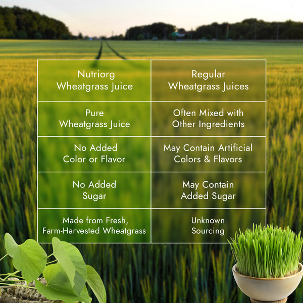 Wheat Grass Juice