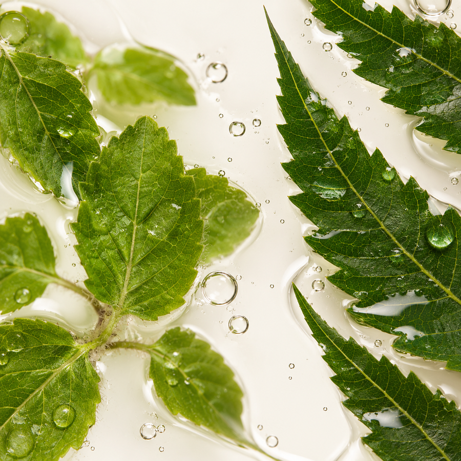 Tulsi & Neem