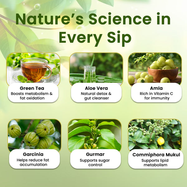 Nutriorg Nutri Fit Juice 500ml