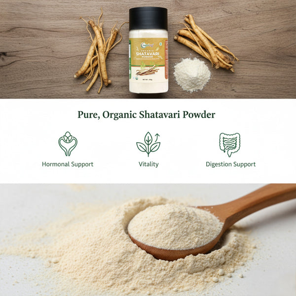 Shatavari Powder