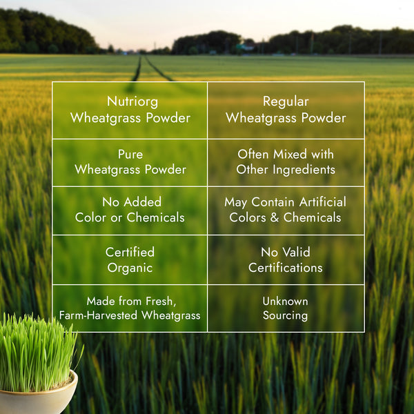 Wheatgrass powder